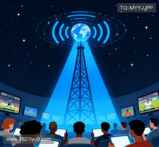 我们的风险管理